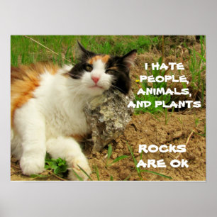 Poster Grumpy Calico Hates Everything but Rocks