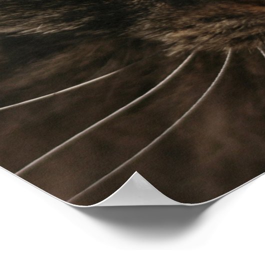 Poster Grumpy Cat (Coin)