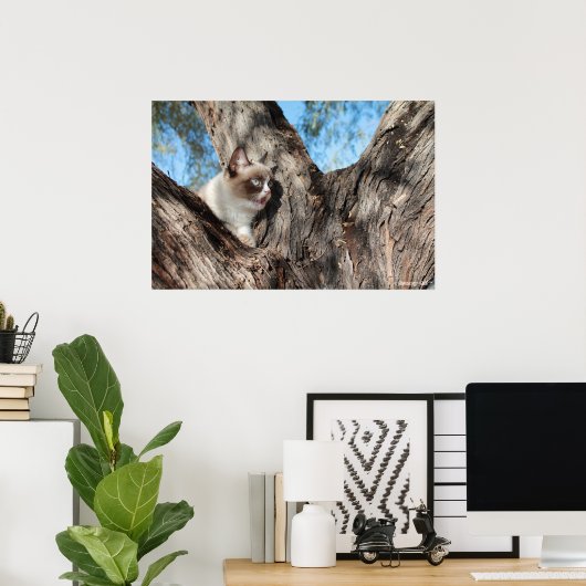 Poster Grumpy Cat™ Meows (Bureau à domicile)