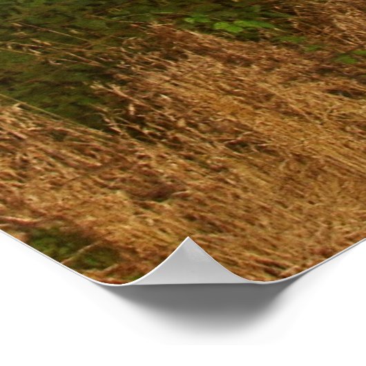 Poster Grunge Barn (Coin)