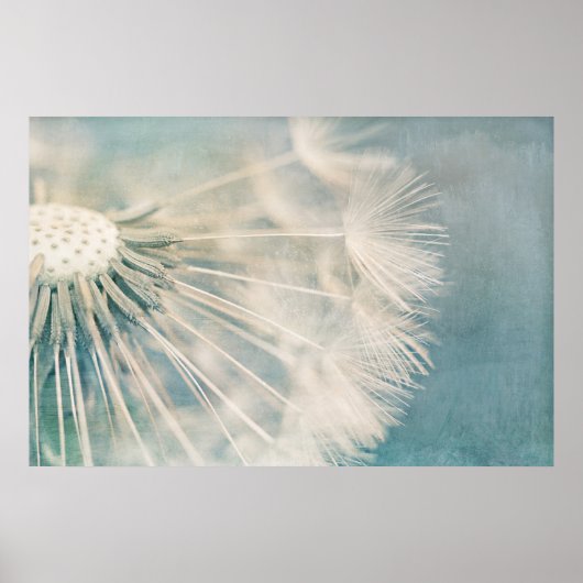 Poster Grunge Dandelion (Devant)