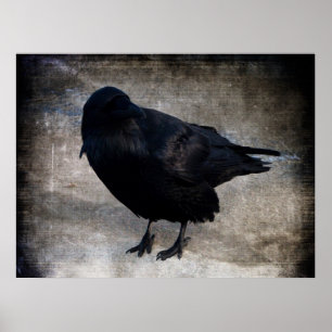 Poster Grunge du Yukon Raven
