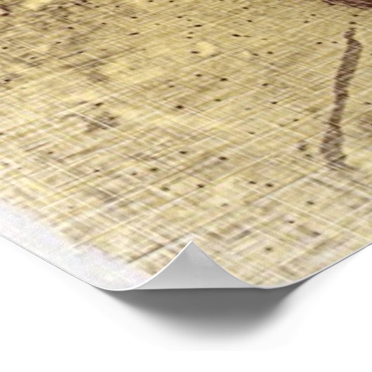 Poster Grunge Skull (Coin)