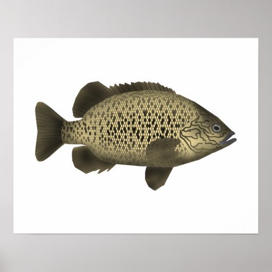 Poster Grunter le charbon (Devant)