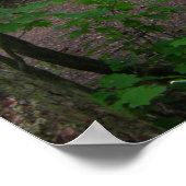 Poster GT forest walk spring 3 (Coin)