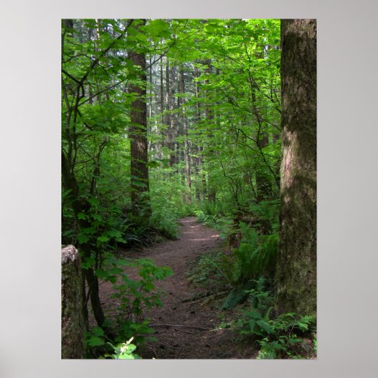 Poster GT forest walk spring 3 (Devant)