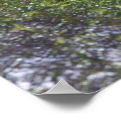 Poster Guajon (Coin)