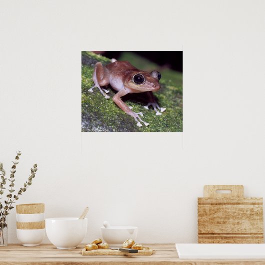 Poster Guajon (Cuisine)