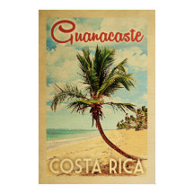 Guanacaste Palm Tree Vintage voyage