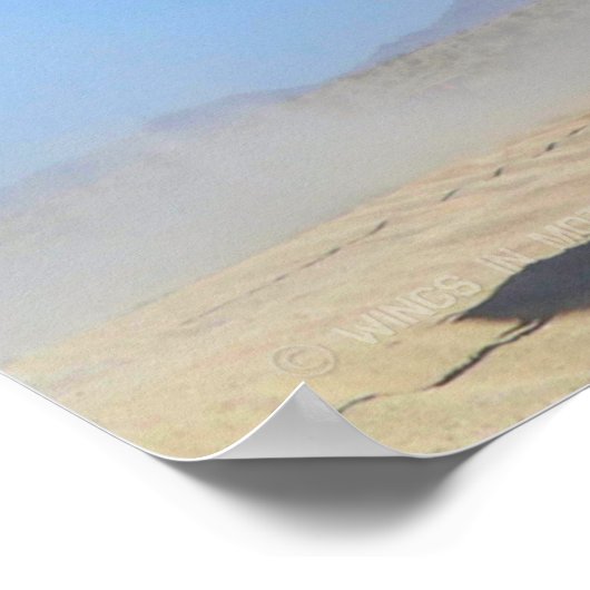 POSTER GUARDIAN APACHE AH-64E (Coin)