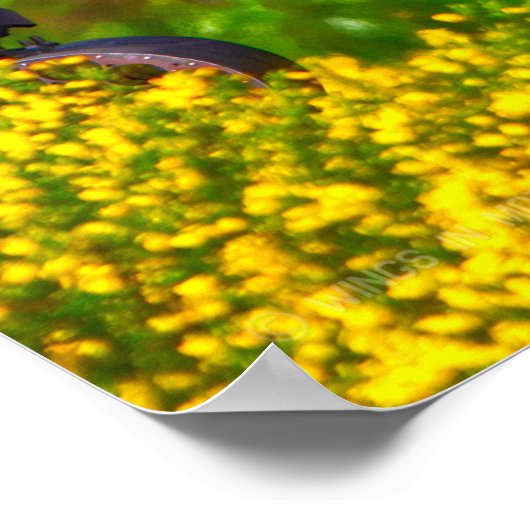 POSTER GUARDIAN APACHE AH-64E (Coin)