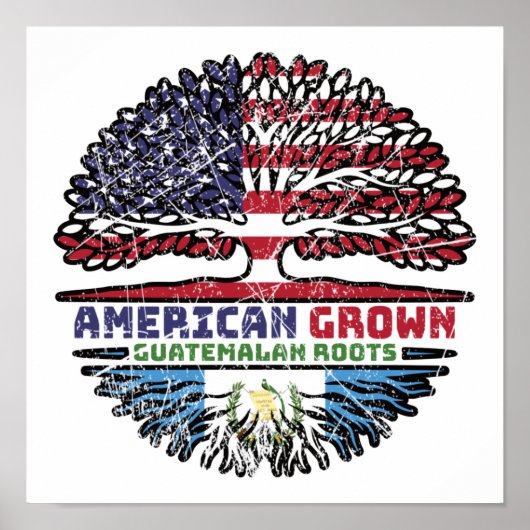 Poster Guatemala États-Unis États-Unis États-Unis (Devant)