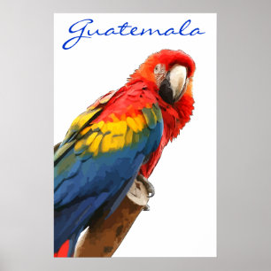 Poster Guatemala Scarlet Macaw