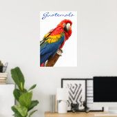 Poster Guatemala Scarlet Macaw (Bureau à domicile)