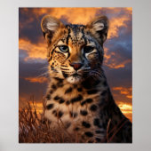 Poster Guépard (Devant)