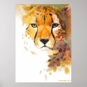 Poster Guépard !