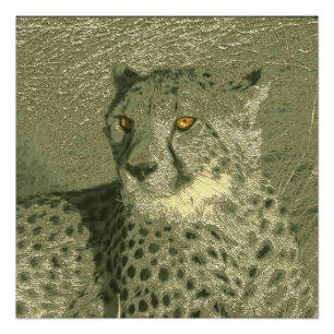Poster guépard métallique