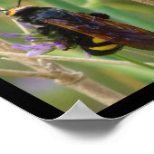 Poster Guêpe Mammouth sur Tige (Coin)