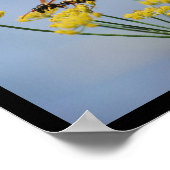 Poster Guêpe Pollinisant le Fenouil Sauvage (Coin)