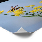 Poster Guêpe Pollinisant le Fenouil Sauvage (Coin)
