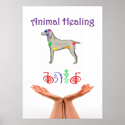 Poster Guérir les animaux (Devant)