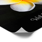 Poster Guérison avec les remèdes à fleur de plage (Coin)