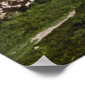 Poster Guernesey au XIXe siècle (Coin)