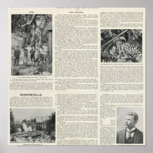 Poster Guerneville, Californie (Devant)