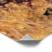 Poster Guerre de l'ABH de 1812 (Coin)