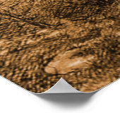 Poster Guerre Des Mondes Armes À Gaz (Coin)