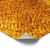 Poster Guerre des Mondes H G Wells Alvim Corréa 1906 (Coin)