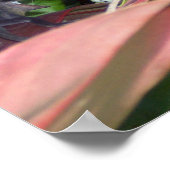 Poster Guerre des reptiles (Coin)