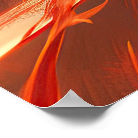 Poster Guerrier chinois (Coin)