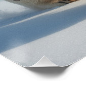 Poster Guerrier de l'ours polaire Steampunk (Coin)