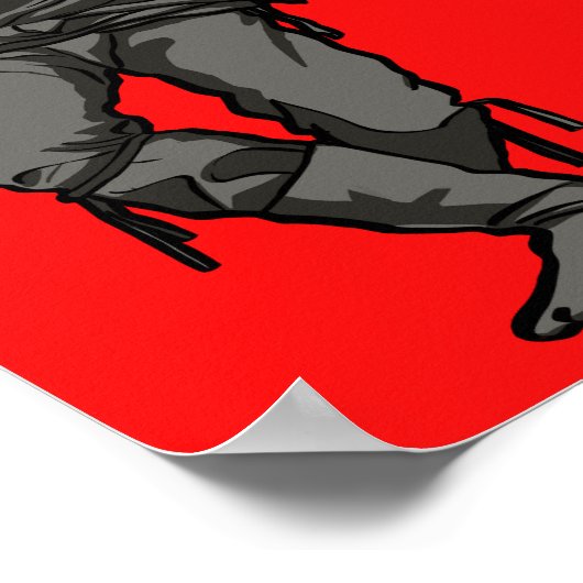 Poster Guerrier de Ninja (Coin)