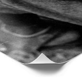 Poster Guerrier maasaï (Coin)