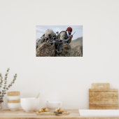 Poster Guerriers Cool des soldats afghans (Cuisine)