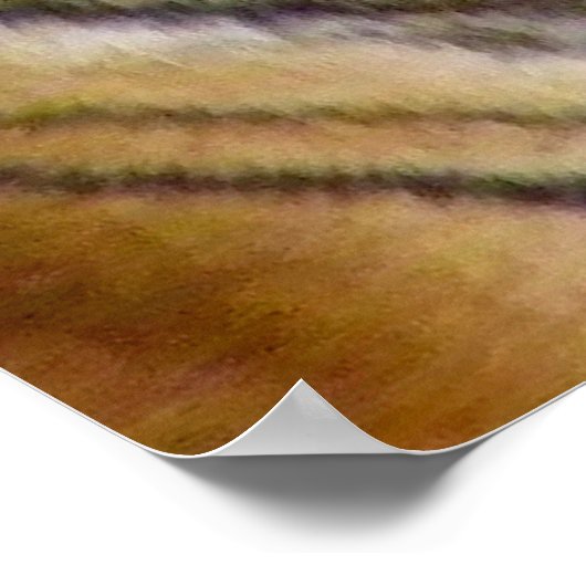 Poster Gueule de Tigre (Coin)