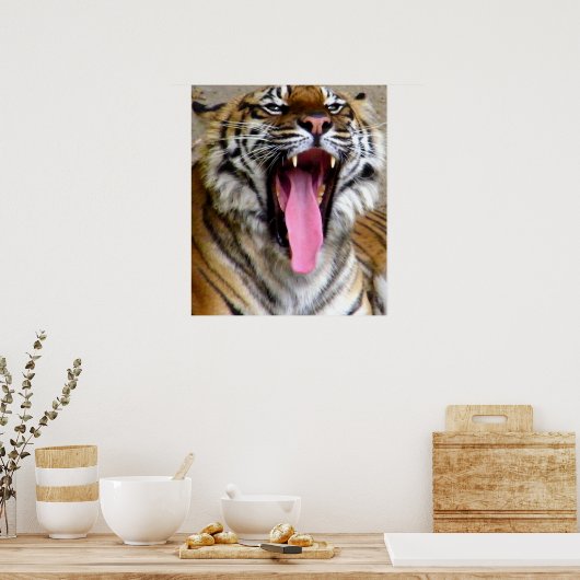 Poster Gueule de Tigre (Cuisine)