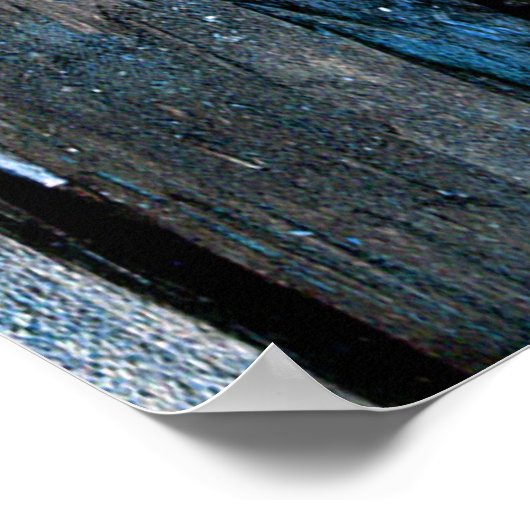 Poster Guide animal (Coin)