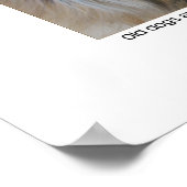 Poster Guillemet pour chien (Coin)