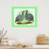 Poster Guineas : Français (Cuisine)