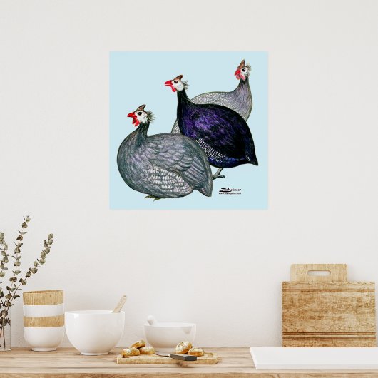 Poster Guineas trois (Cuisine)