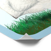 Poster Guinée blanche (Coin)