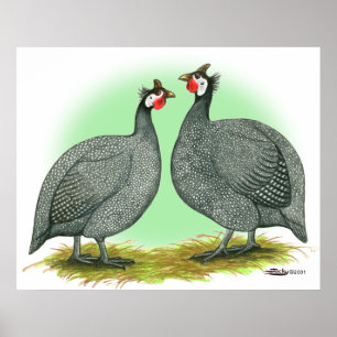 Poster Guinée :  Français