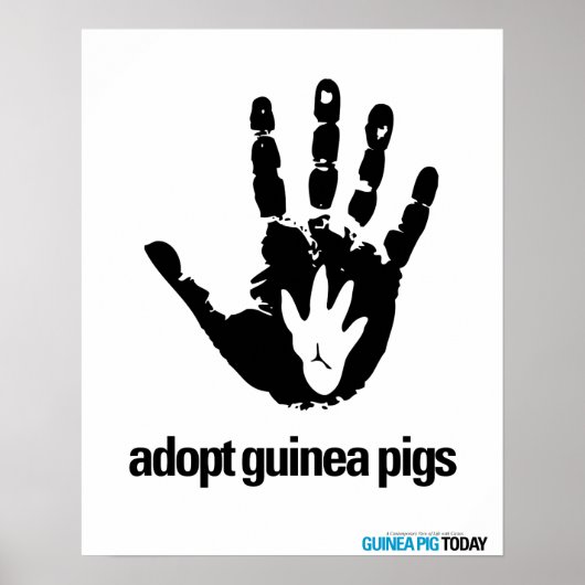 Poster Guinee - Varkens vandaag aannemen (Voorkant)