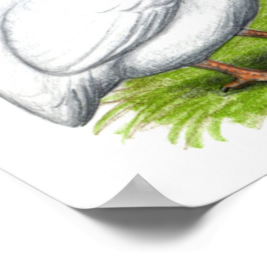 Poster Guinées :  Blanches (Coin)