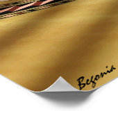 Poster Guitare espagnole 02 (Coin)