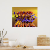 Poster Guitare Frenzy (Cuisine)