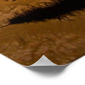 Poster Guitare Giri (Coin)